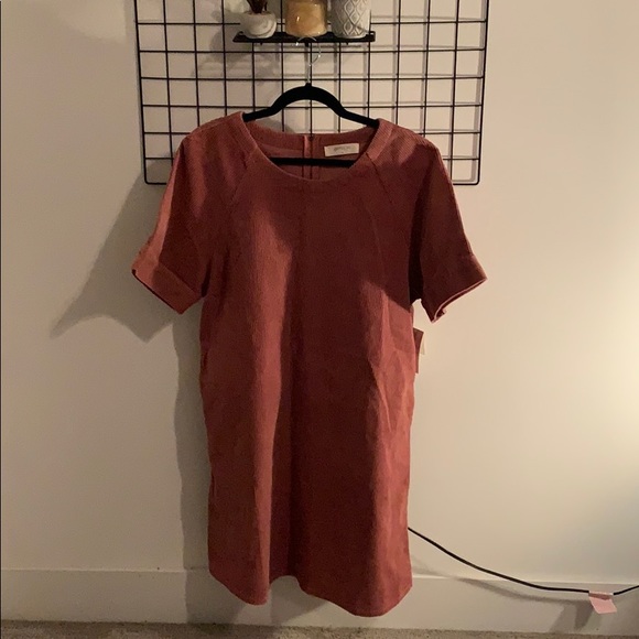 Dresses & Skirts - NWT Dusty Rose Corduroy Dress